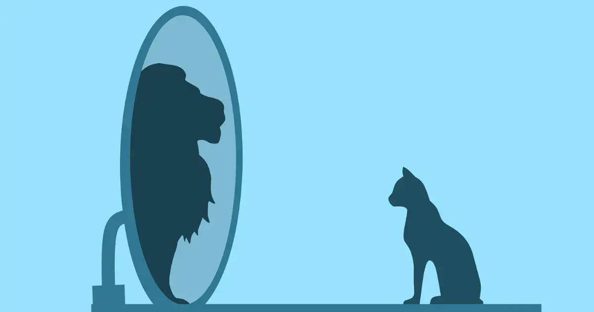 how to carry yourself with confidence