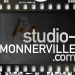 SMV-reduced-size-logo.png